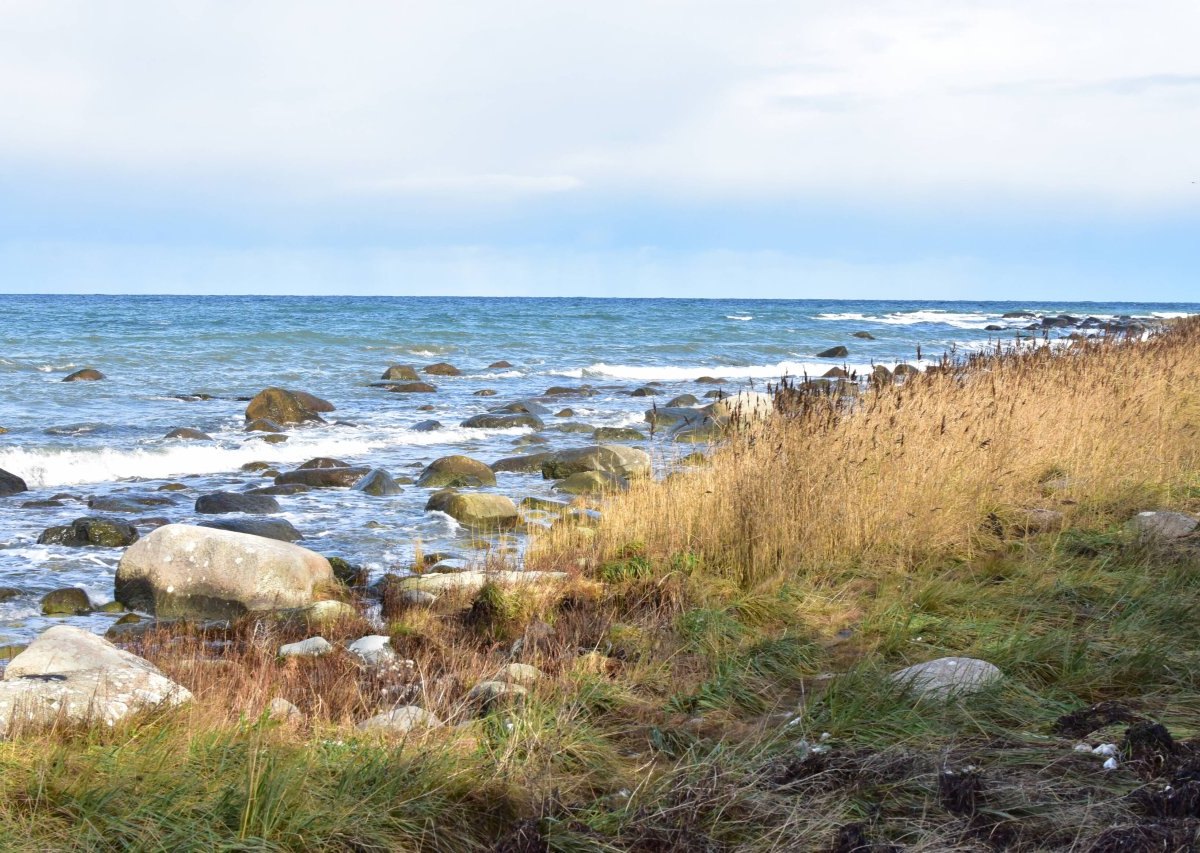 Urlaub an der Ostsee.jpg