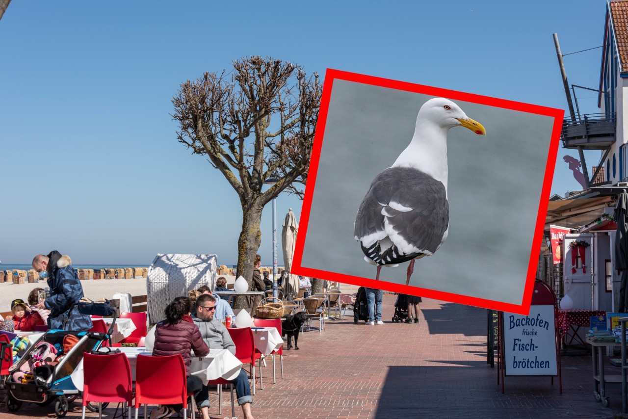 Beim Urlaub an der Ostsee spielten sich krasse Szenen bei einem Restaurant ab. (Symbolbild)