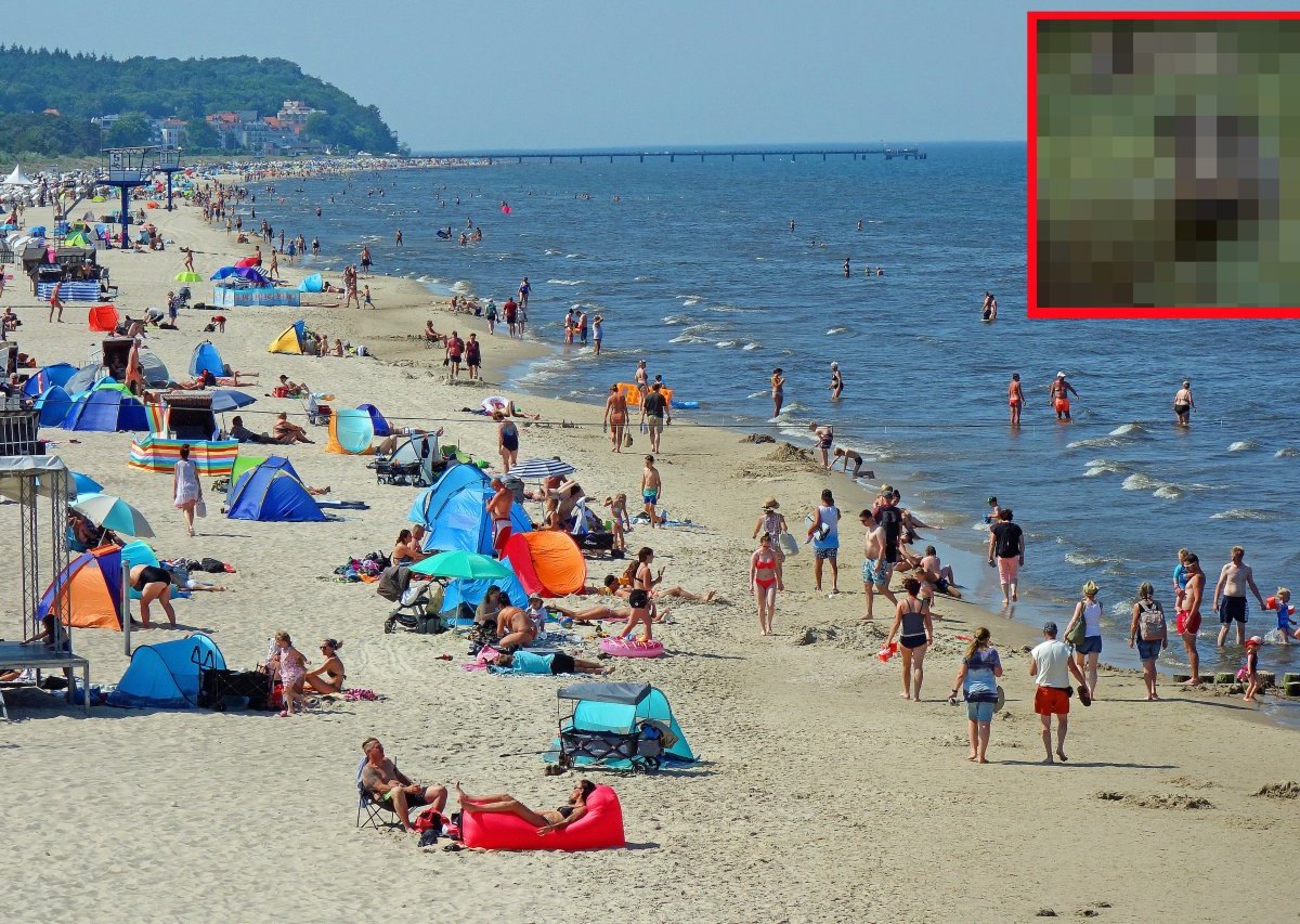 Urlaub an der Ostsee.jpg