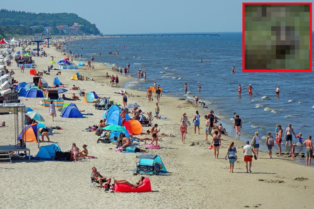 Urlaub an der Ostsee.jpg