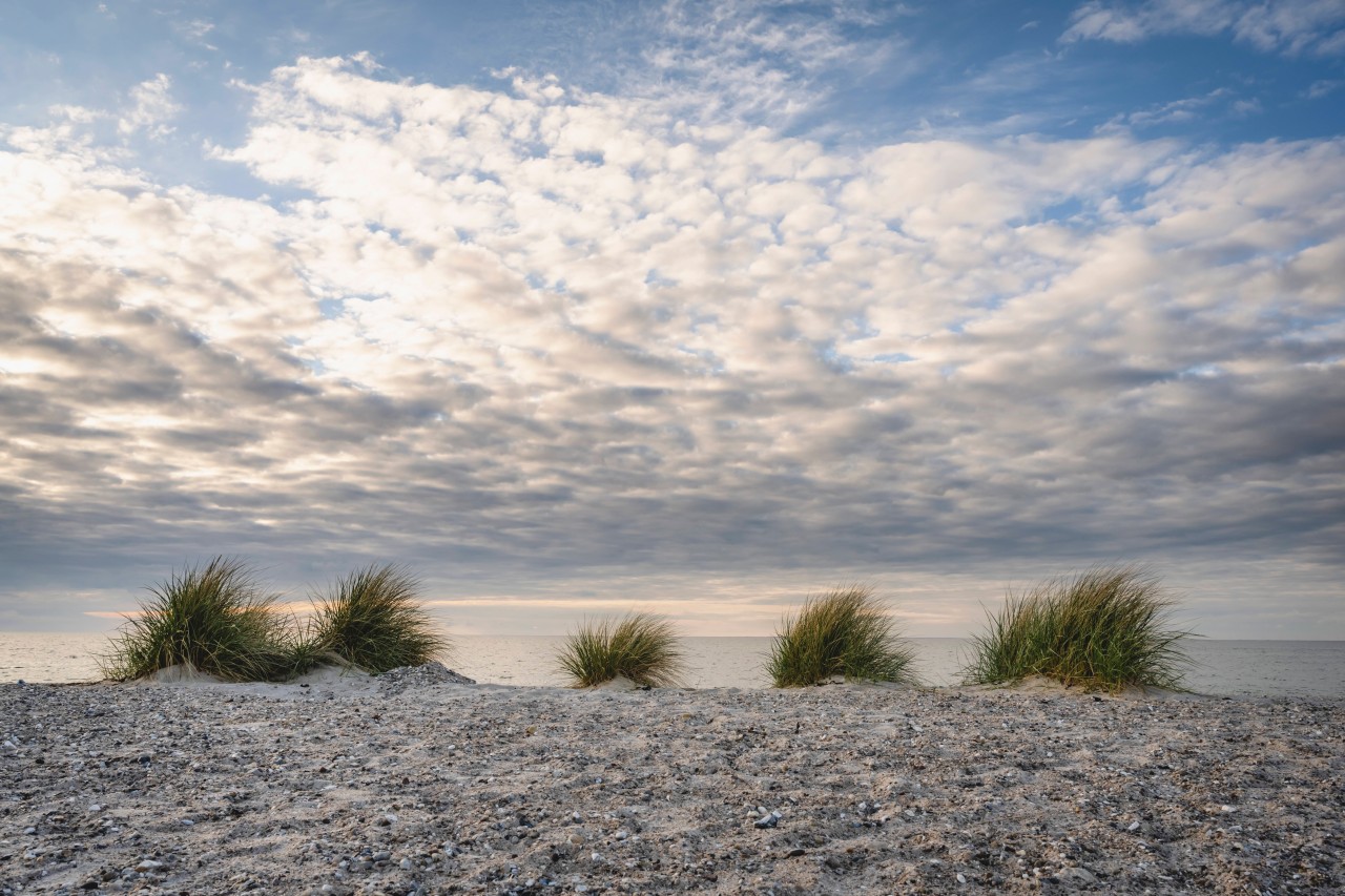 Urlaub an der Ostsee: Einheimischer verrät, was Touristen eigentlich nicht erfahren sollen. (Symbolbild)