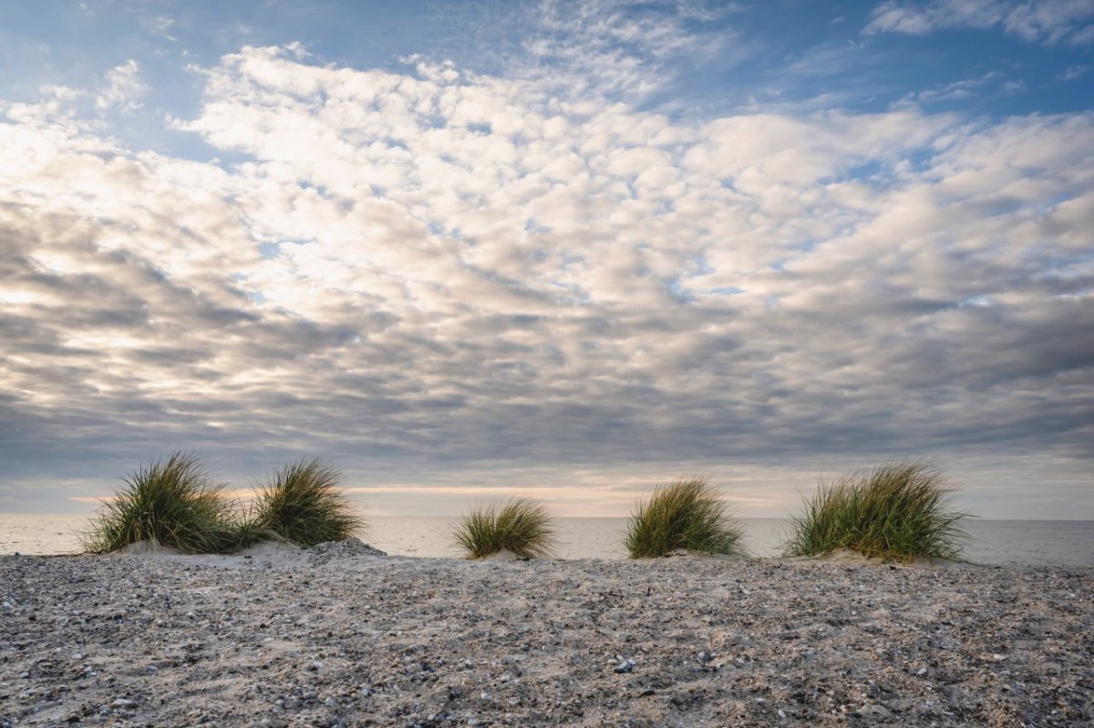 Urlaub an der Ostsee.jpg