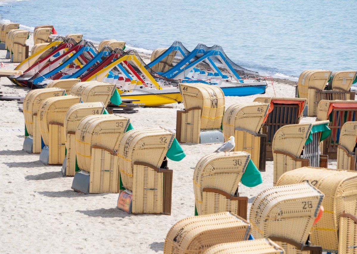 Urlaub an der Ostsee: Mann kann Ruhe nicht genießen.