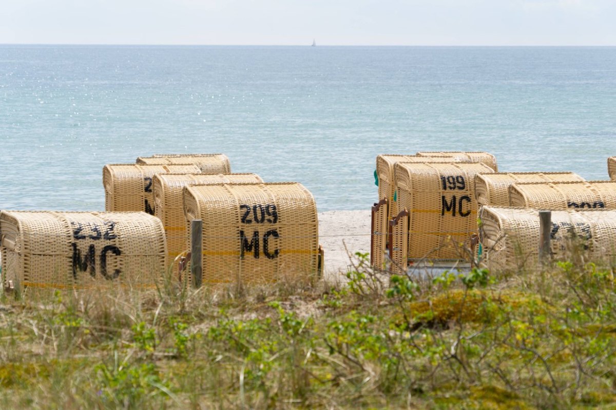 Urlaub an der Ostsee: Was Menschen hier machen, ist zwar nett gemeint, nervt aber tierisch