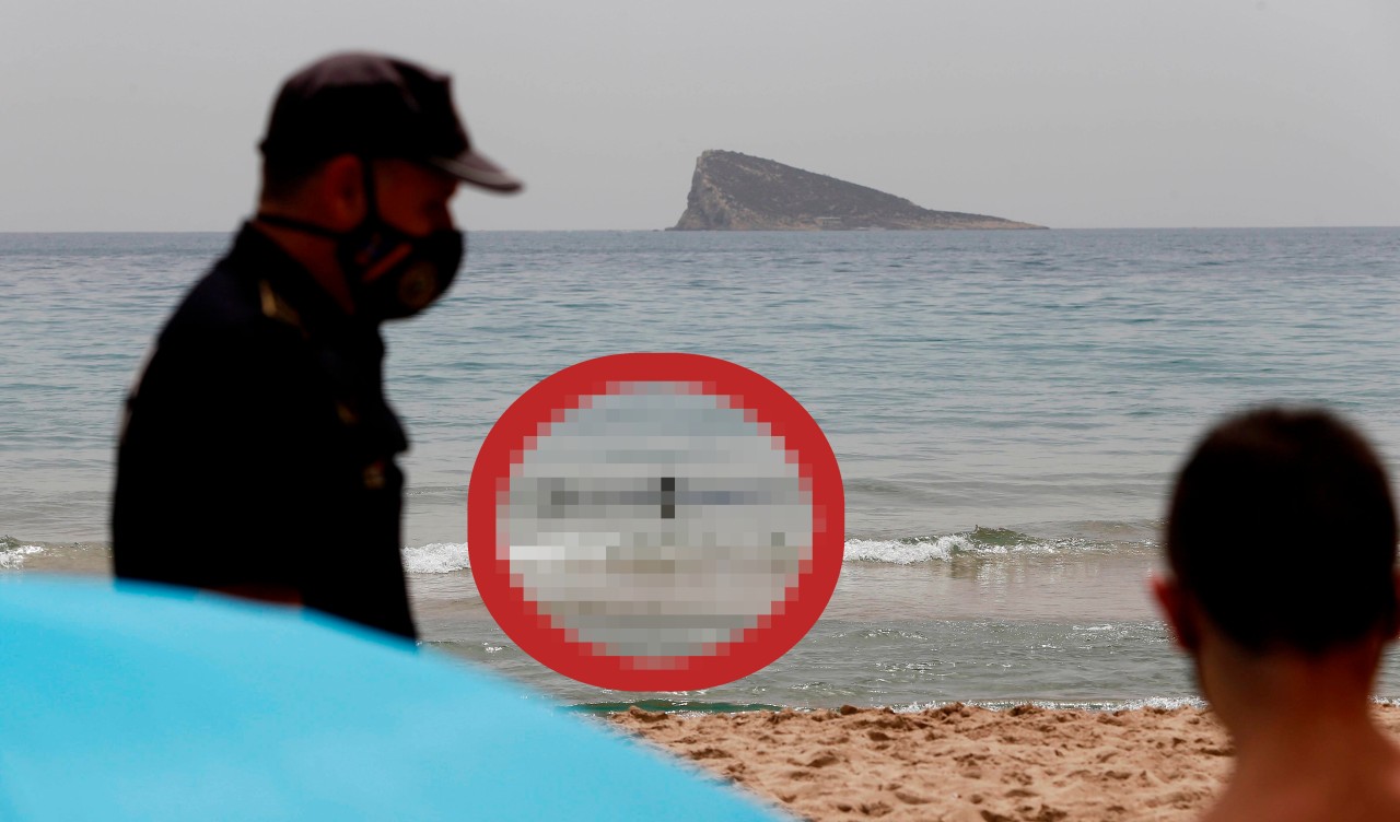 Urlaub auf Mallorca: In Spanien hat ein Hai nun bereits an der zweiten Küste sein Unwesen getrieben. 