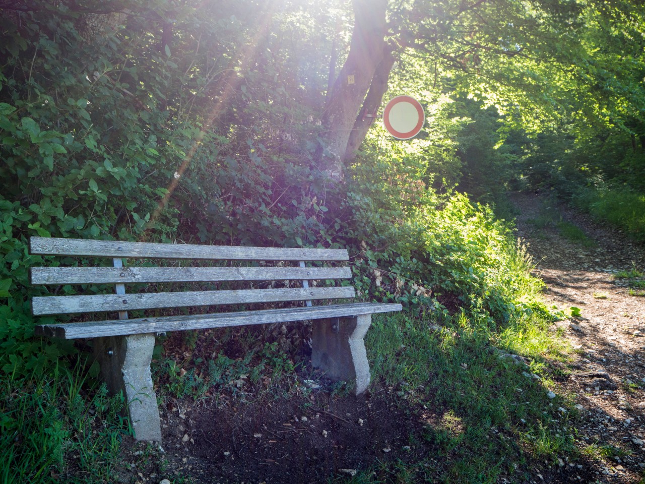 Ein Mann aus Bochum staunte nicht schlecht, als er eine Bank im Wald entdeckte. (Symbolbild)