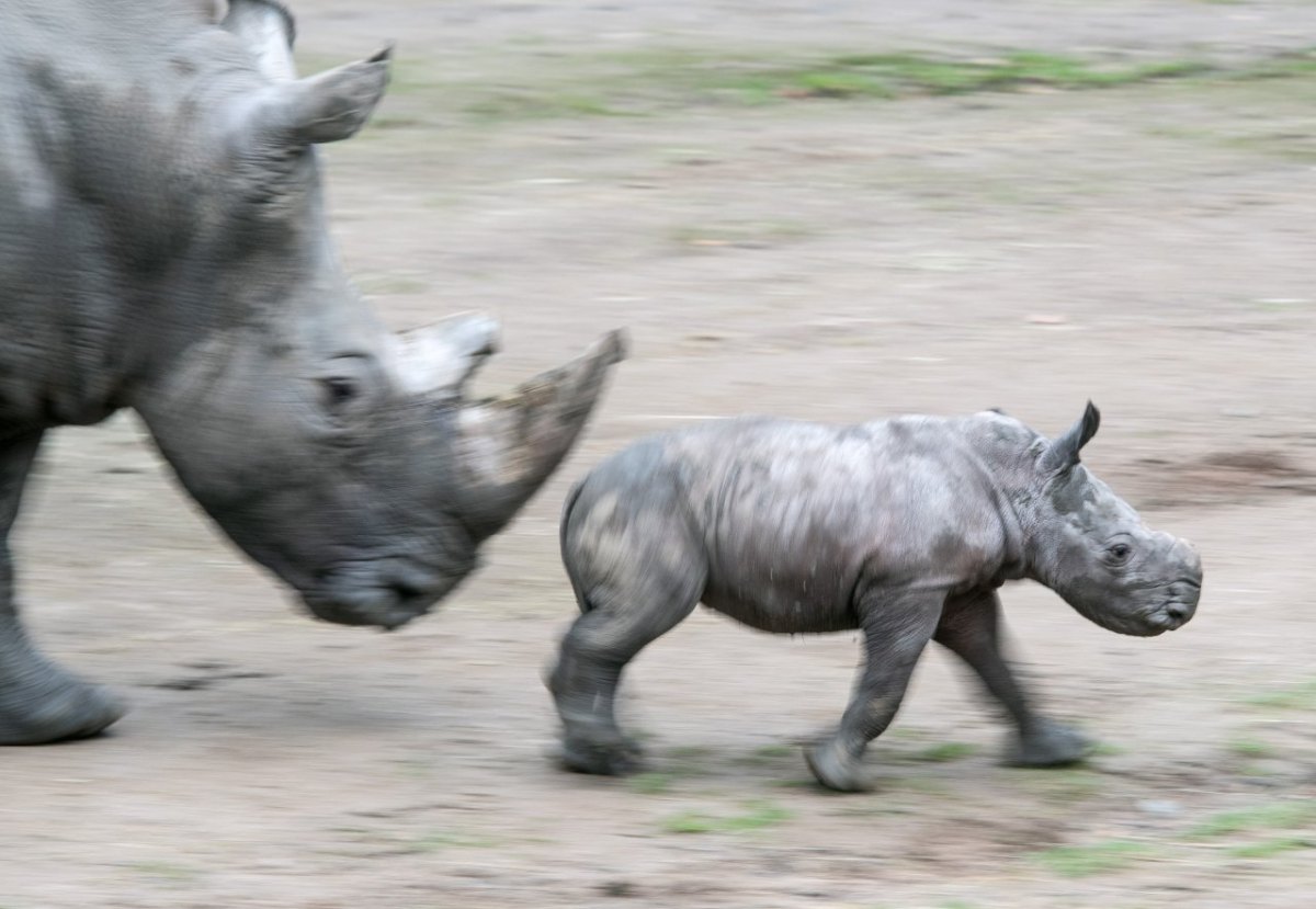 Zoo Dortmund.jpg