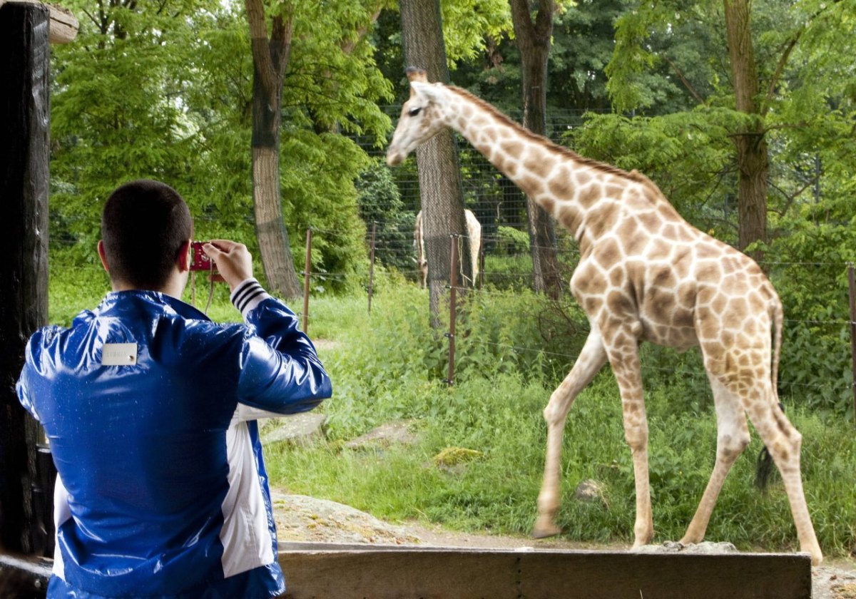 Zoo Dortmund