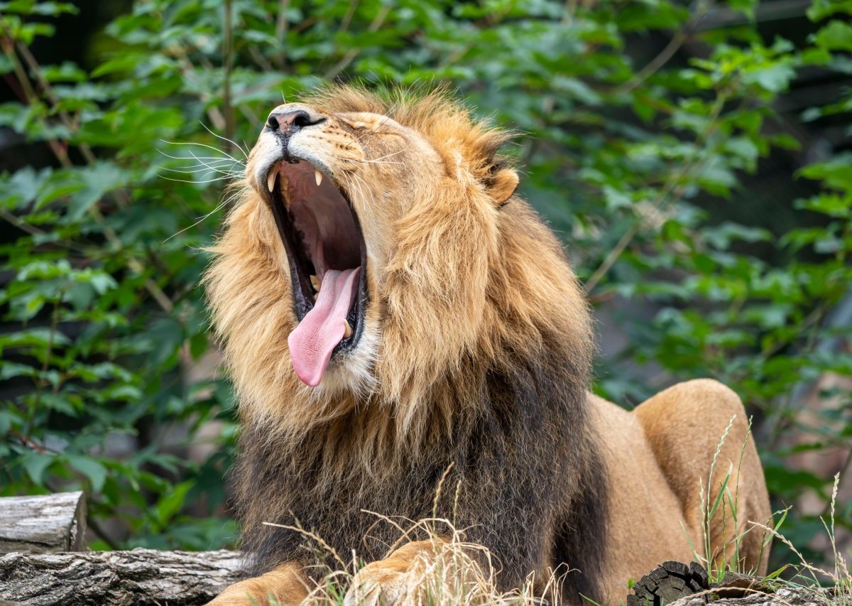 Zoo Duisburg