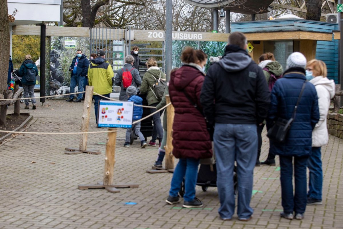 Zoo Duisburg nashorn