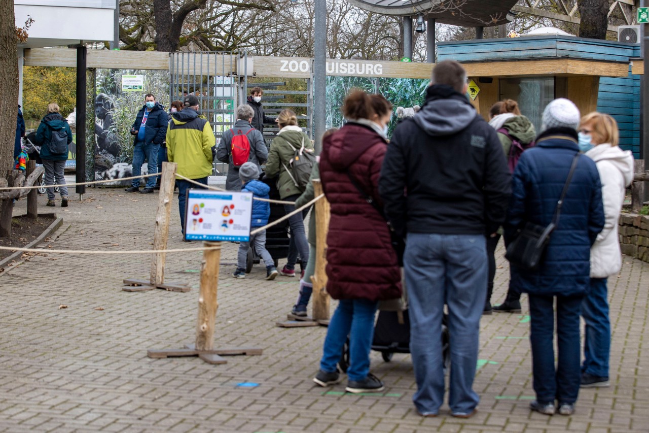 Lange Schlangen soll es im Zoo Duisburg vor dem Aquarium nicht mehr so häufig geben. (Symbolbild)