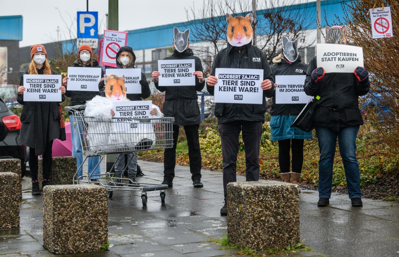 Auch die Tierschutzorganisation PETA demonstrierte im vergangenen Jahr vor Zoo Zajac in Duisburg.