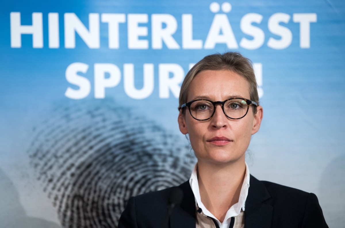 afd-alice-weidel.jpg