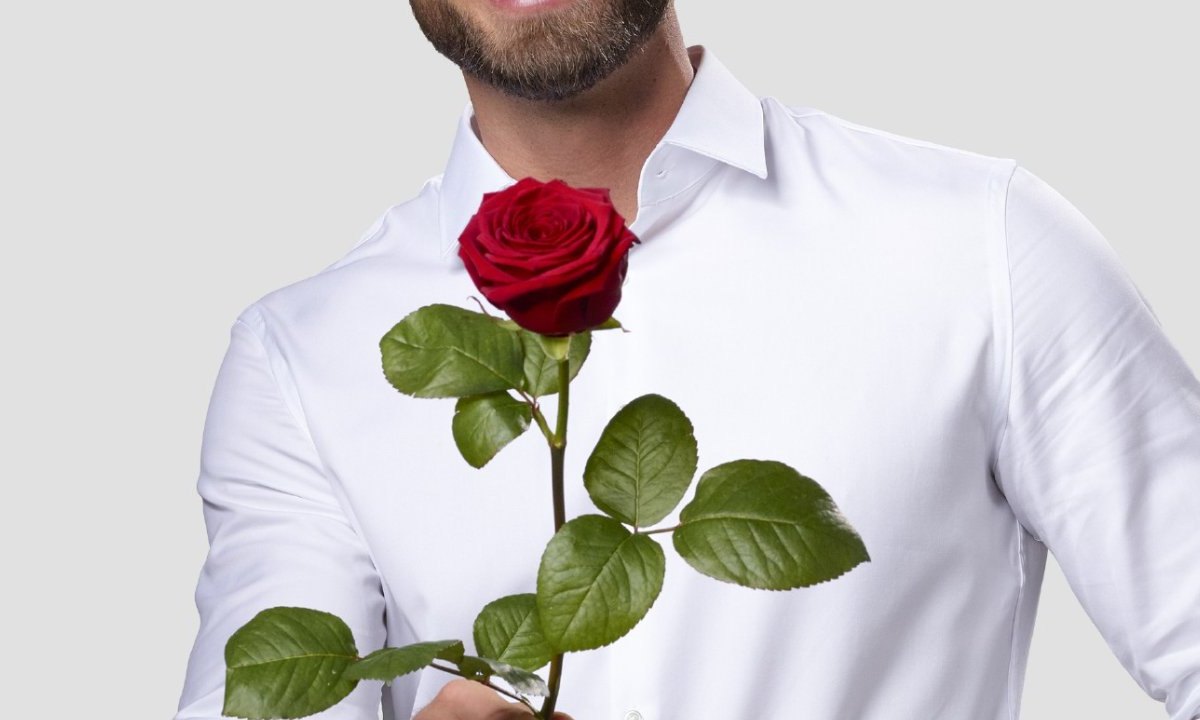 bachelor.jpg