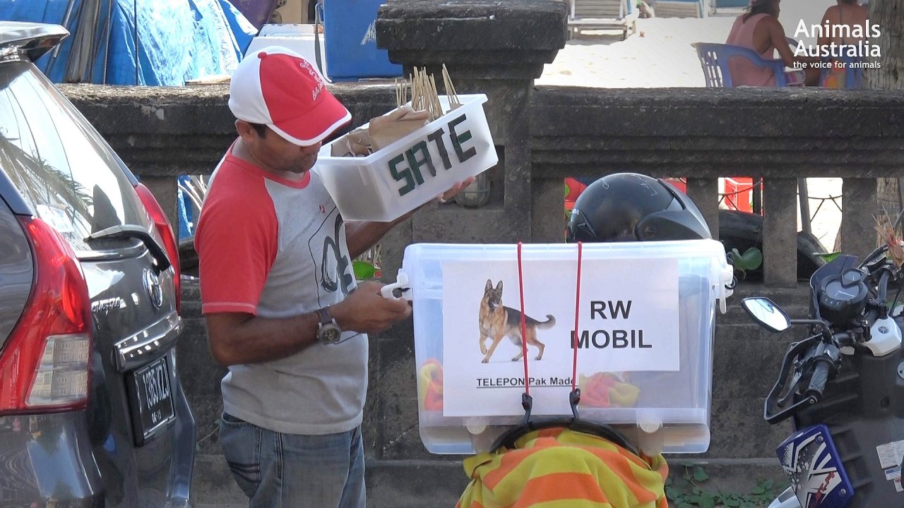 Ein mobiler Händler mit „Sate“-Spießen. Das „RW“ auf seinem Korb signalisiert, dass Hundefleisch verkauft wird – nicht alle Händler machen es so deutlich wie dieser mit dem Hundebild.