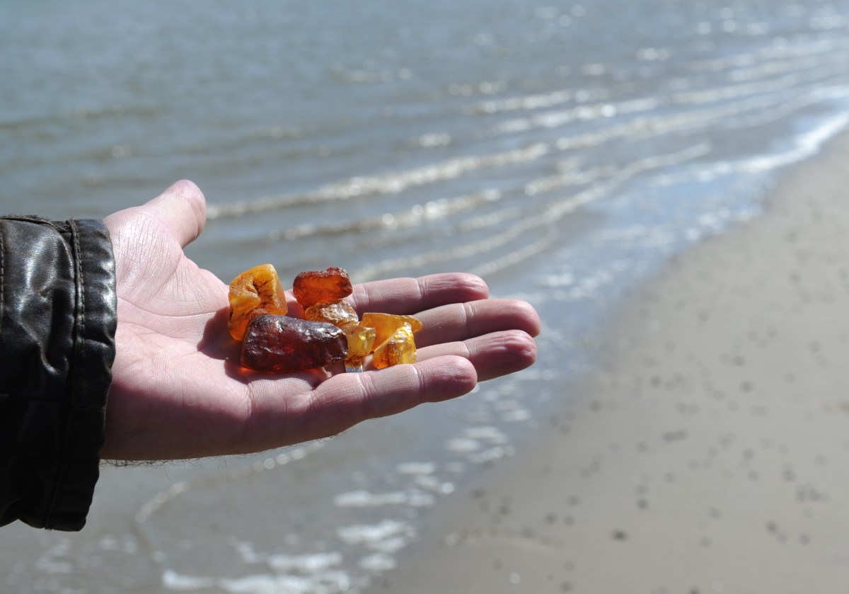 Viele Spaziergänger an Nord- und Ostsee freuen sich, wenn sie am Strand Bernstein finden. Manch ein Fund hat sich jedoch als gefährlicher Phosphor entpuppt.