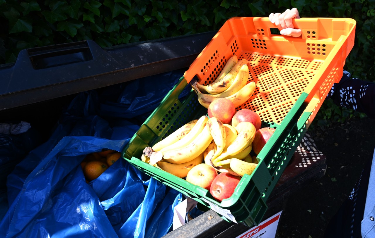 „Containern“ – Lebensmittel aus dem Supermarkt-Müll zu retten ist in Deutschland illegal. Für viele ist das ein Unding. (Symbolbild)