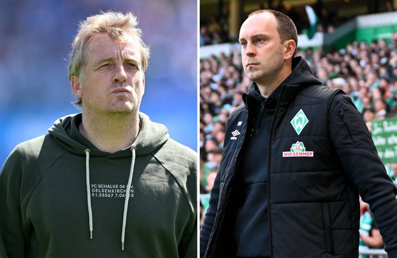 FC Schalke 04 oder Werder Bremen – wer holt die Schale?