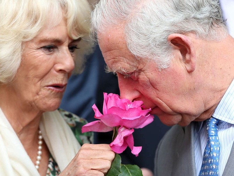 Das Paar ist glücklich. Camilla von der Queen und der restlichen Königs-Familie akzeptiert.