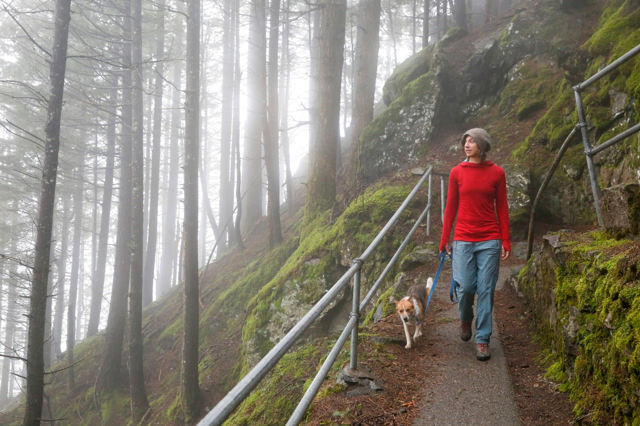 Hund in NRW: Beim Versuch den abgestürzten Hund zu Retten mussten dessen zwei Begleiter selbst gerettet werden. (Symbolbild)