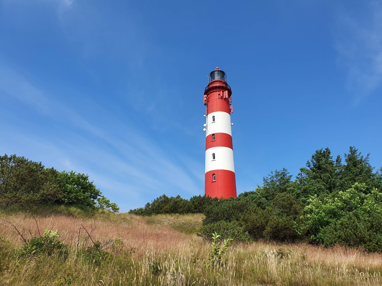 Urlaub an der Nordsee: Auf der Insel Amrum hat man ein ekliges Problem. (Symbolbild)