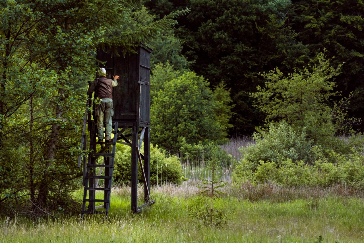 Ein Jäger hat auf einer Wiese eine schreckliche Entdeckung gemacht. (Symbolbild)