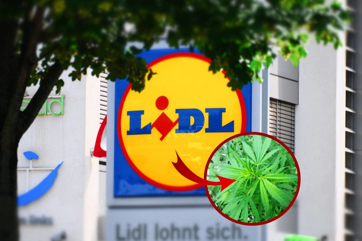 lidl-cannabis