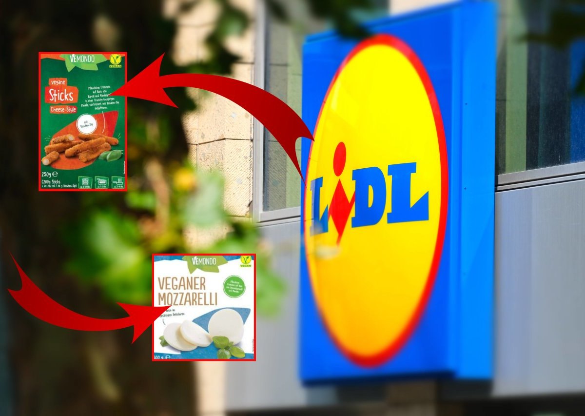 lidl-neu.jpg