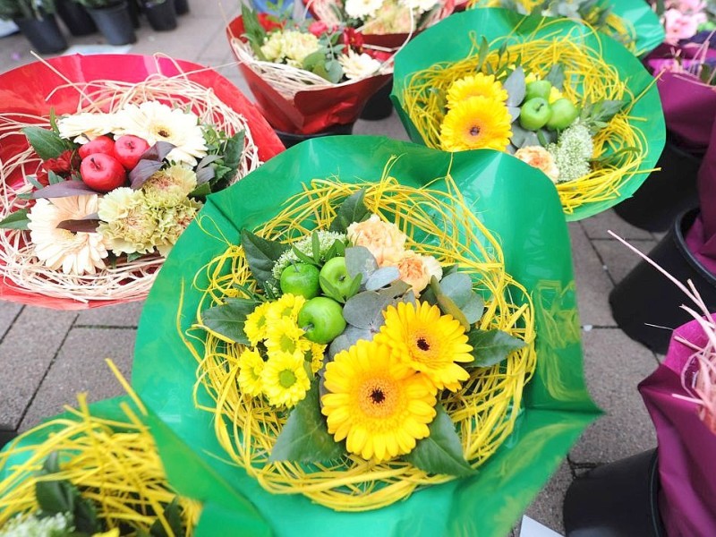 Am Sonntag 29.04.2012 gab es den Blumen- und Bauernmarkt auf dem Rathausparkplatz in Alpen.Foto: Markus Joosten / WAZ FotoPool