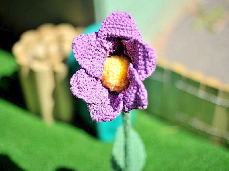 Bestrickte Begrenzungspoller, bunte Baumkleider und ein neuer Strickgarten machen die Emmastraße, Ecke Reginenstraße in Rüttenscheid ein bisschen farbenfroher. Foto: Sebastian Konopka