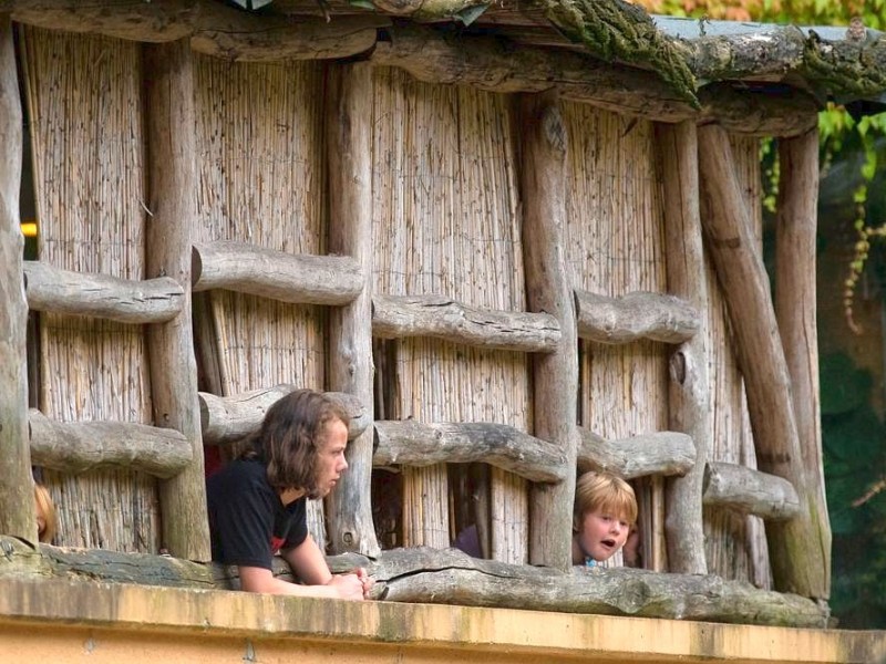 Kinder bastelten bunte Tüten für die Menschenaffen im Dortmunder Zoo.