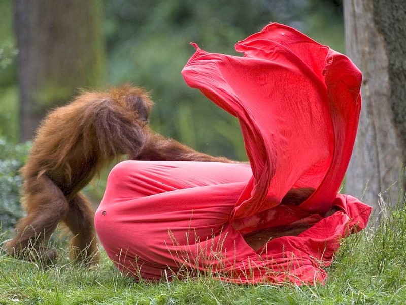 Kinder bastelten bunte Tüten für die Menschenaffen im Dortmunder Zoo.