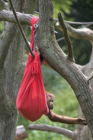 Kinder bastelten bunte Tüten für die Menschenaffen im Dortmunder Zoo.