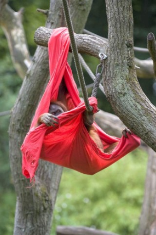 Kinder bastelten bunte Tüten für die Menschenaffen im Dortmunder Zoo.