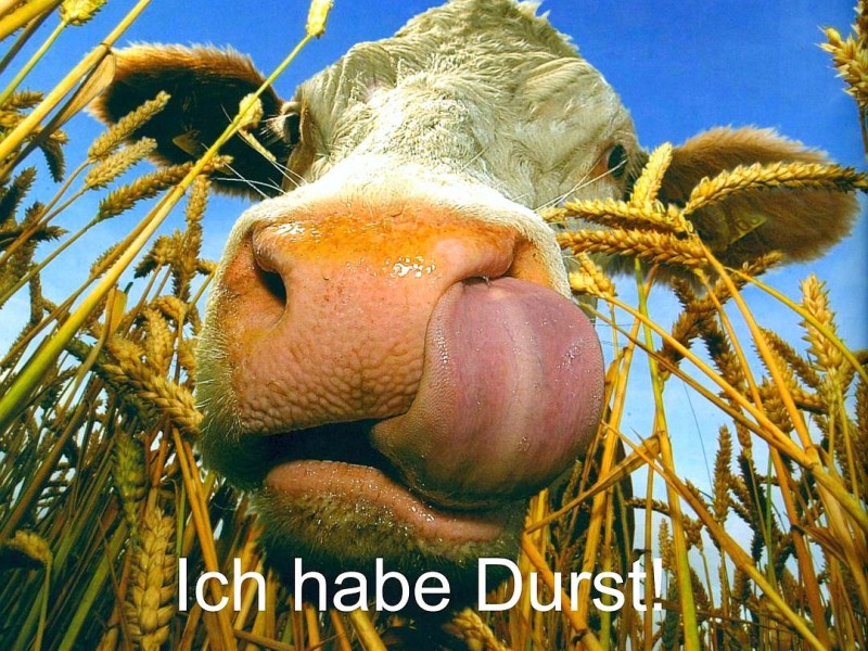 Ich habe Durst