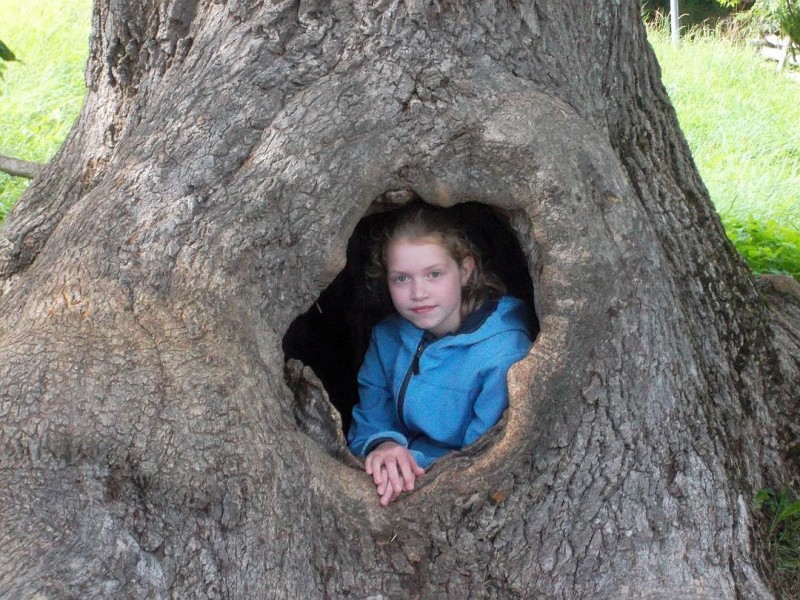 Hohler Baum in Bullerbü