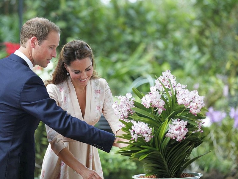 Drei Tage verbringen William und Kate in Singapur. Sie besuchen den Stadtstaat als Teil ihrer neuntägigen Reise durch den Fernen Osten und den südpazifischen Raum. Anlass ist das diamantene Thronjubiläum von Queen Elizabeth II. Hier ist das Prinzenpaar im Botanischen Garten.