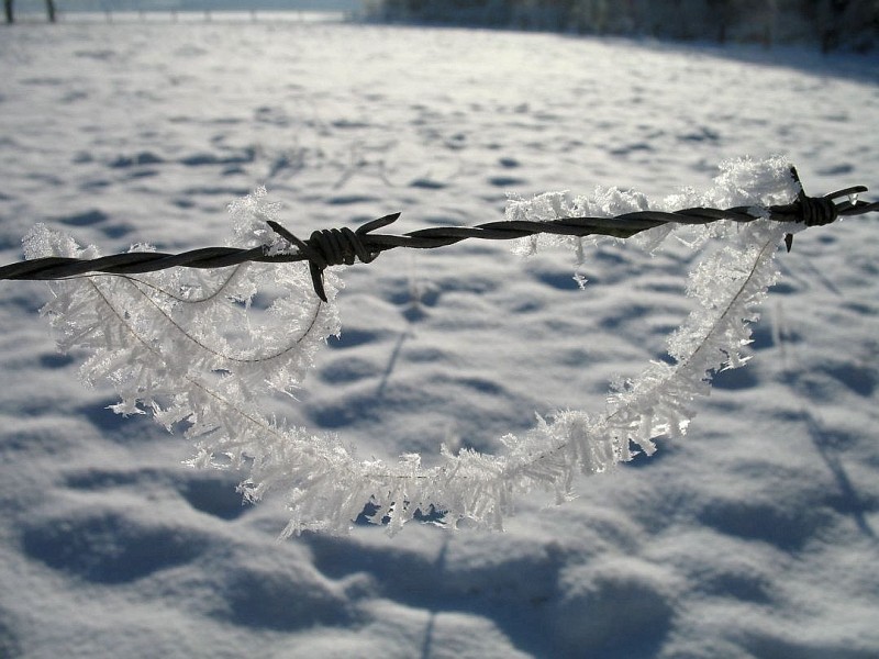 Bei dem Wetter braucht man Schneeketten.