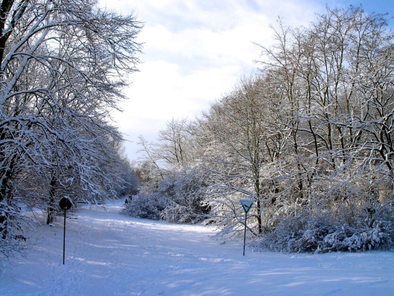 Bochum Langendreer an der Ümmingerstraße.