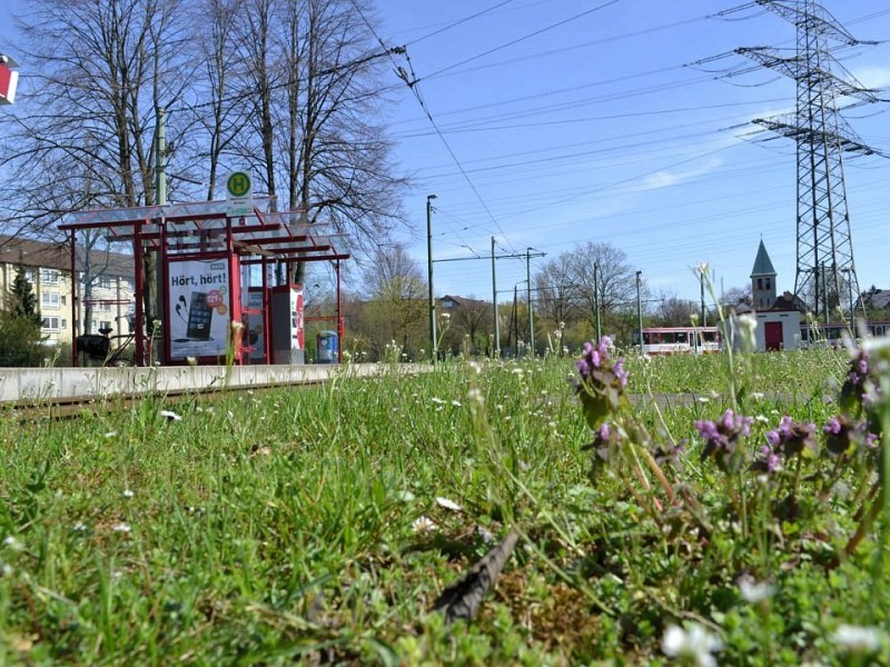 ... der Haltestelle Obermarxloh Schleife. Seit 1958 verbindet eine Stadtbahnlinie diese Endstation mit dem Süden.