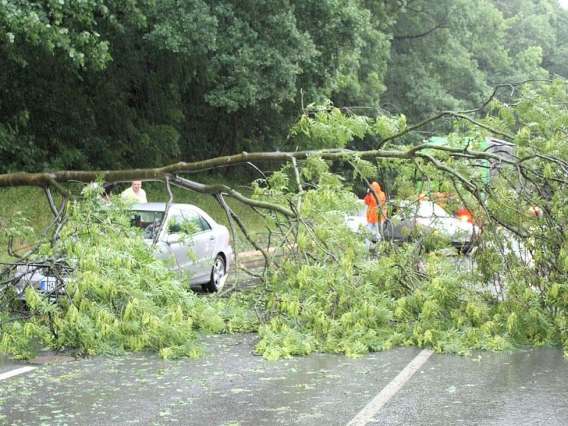 Unwetter in Hagen: Ein Baum stürzte in Schwerter Straße auf ein Auto.