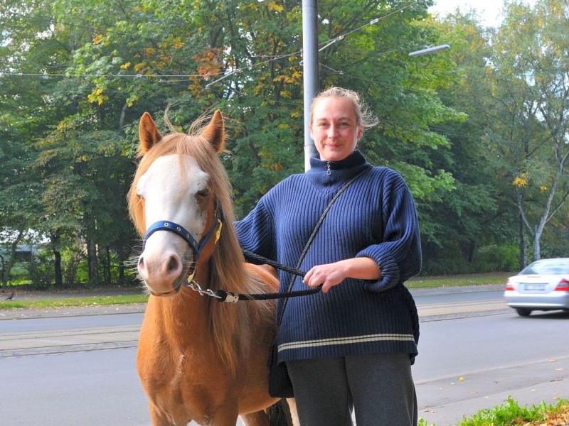 ...plötzlich ein Pferd samt Reiterin begegnet. Denn ganz in der Nähe...