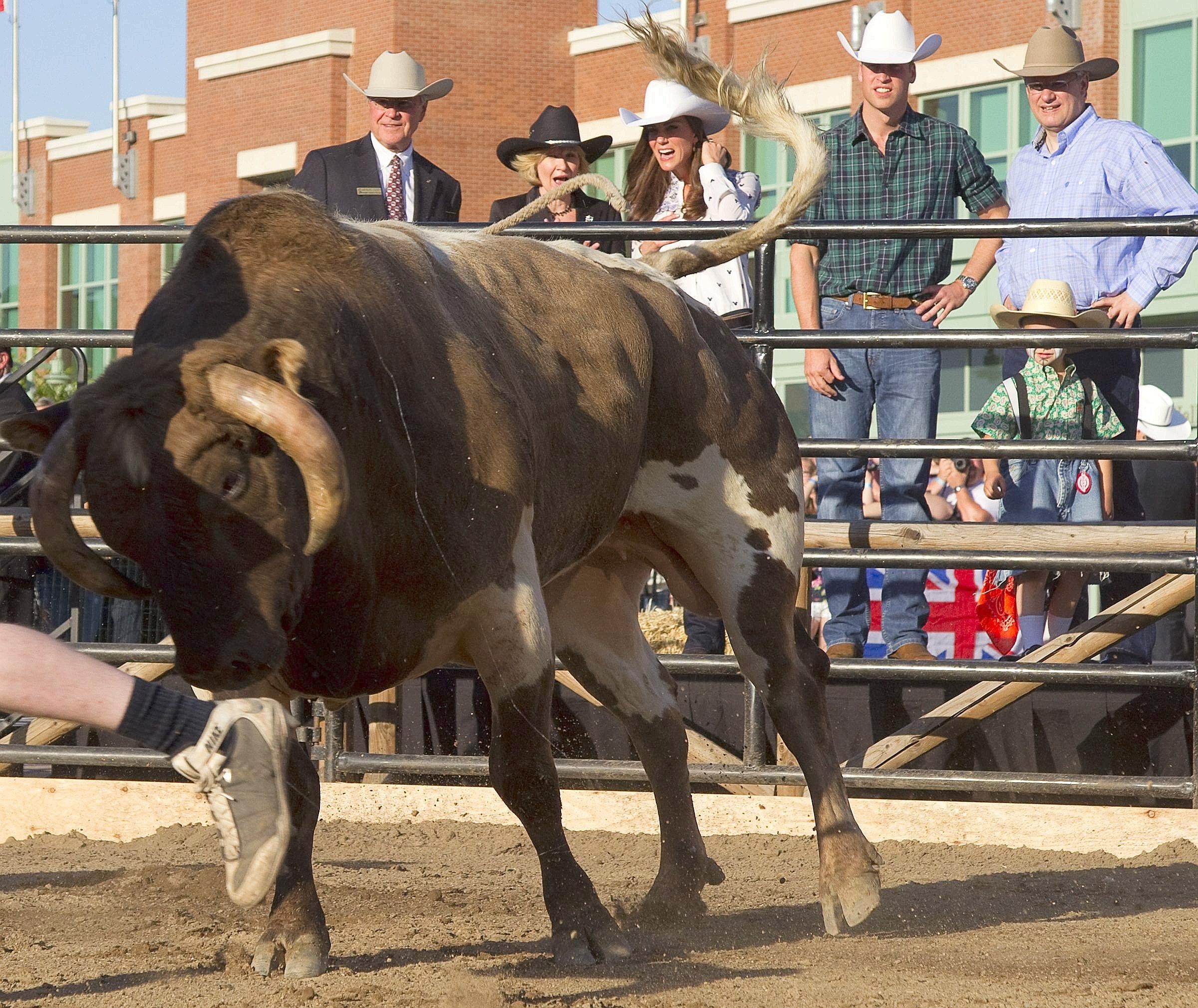 ...hatten dann beim traditionellen Stampede-Rodeo auch sichtlich ihren Spaß. Sie fieberten mit...