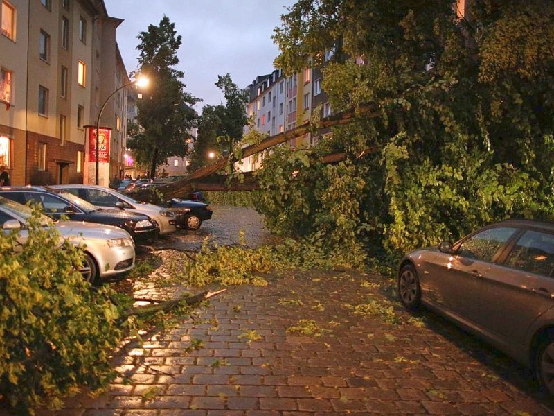 Ein Unwetter hat in der Lindenstraße in Düsseldorf Bäume umgestürzt und zahlreiche Autos beschädigt.