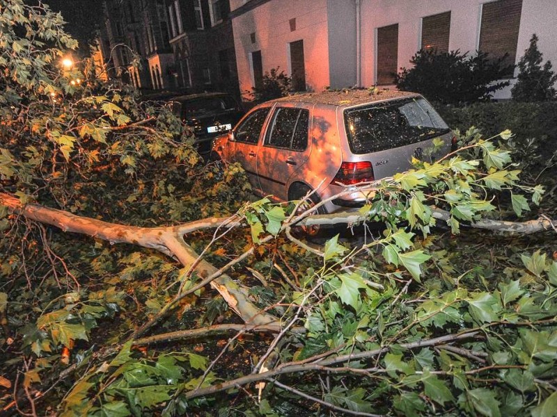 Wie hier in Dortmund mussten die Feuerwehr und andere Hilfsdienste ausrücken, um umgestürzte Bäume von den Straßen zu bergen.