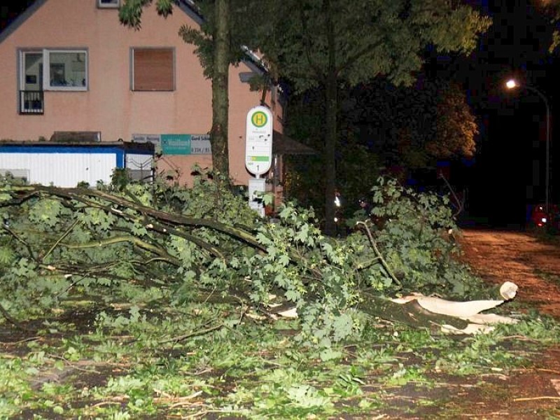 ...auf der Wiescherstraße.