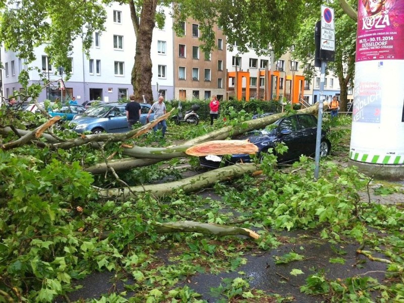 In Düsseldorf sind zahlreiche Autos von herabstürzenden Ästen schwer beschädigt worden.