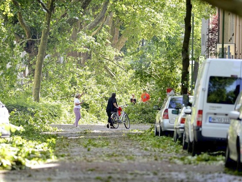Umgestürzte Bäume in Essen-Holsterhausen in der Friedbergstraße.