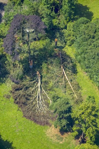 Auch im Villa Hügel-Park hat das Unwetter seine Spuren hinterlassen.