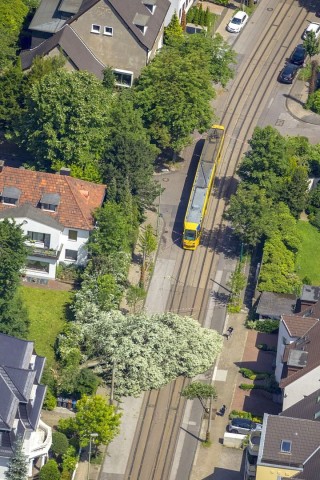 Die Sturmschäden reichen von Essen-Bredeney bis zum Stadtwald.